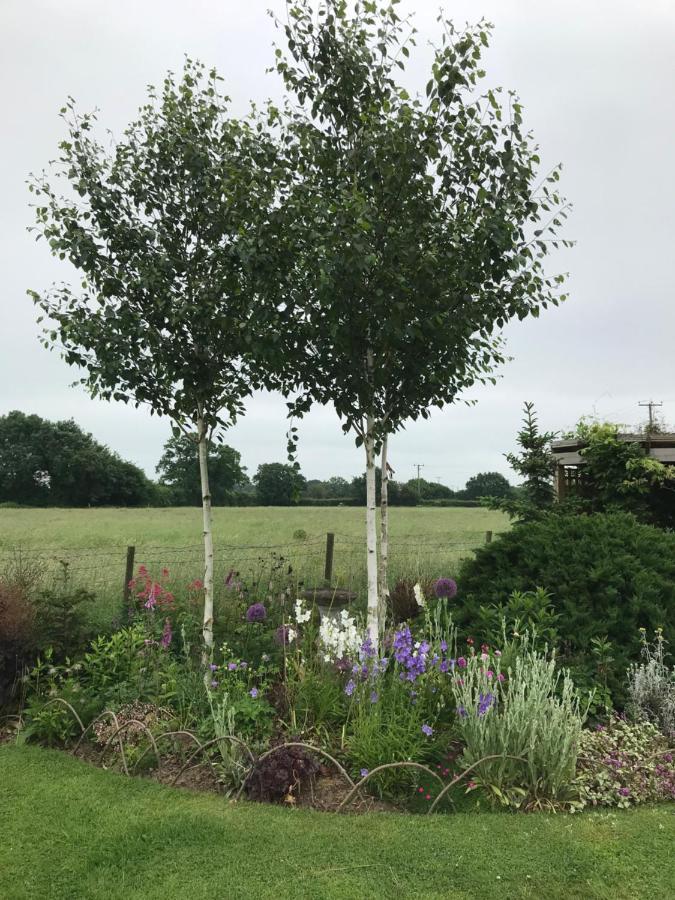 Marden  Fair View B&B 외부 사진